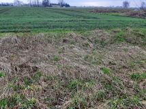 Działka budowlana Dzierżów. Zdjęcie 3