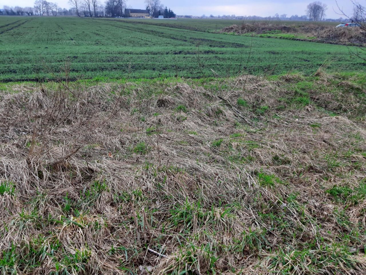 Działka budowlana Dzierżów. Zdjęcie 4