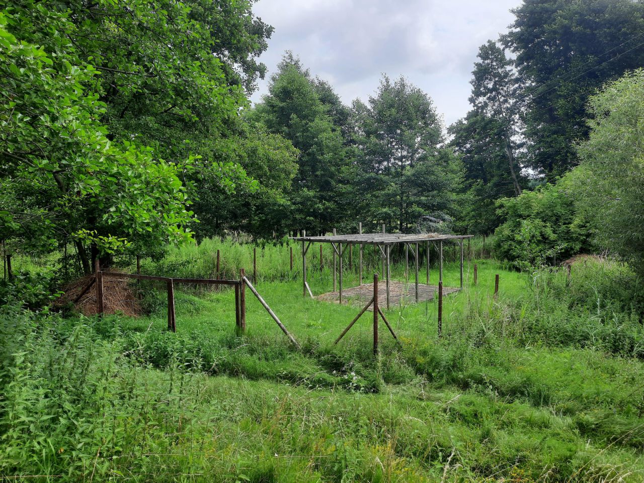 Działka rekreacyjna Minikowo. Zdjęcie 12