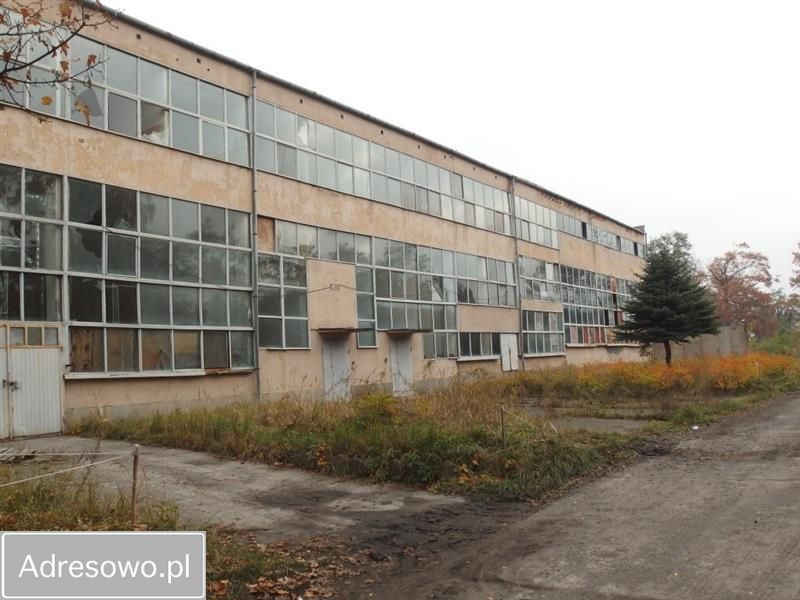 Lokal Żary, ul. Zawiszy Czarnego