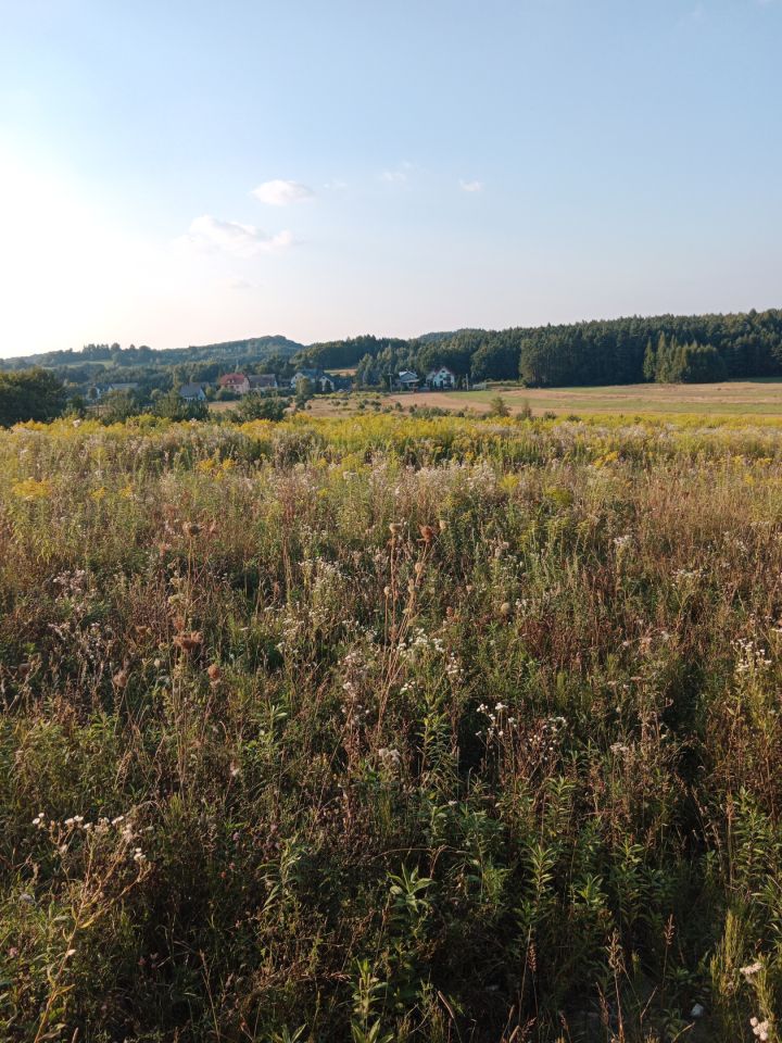 Działka rolno-budowlana Podlesie Łazy. Zdjęcie 3