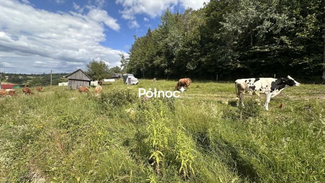 Działka budowlana Podwilk. Zdjęcie 4