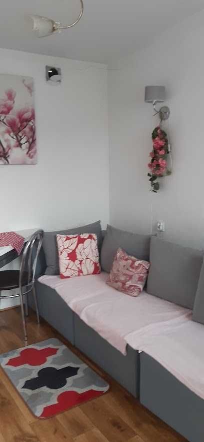 Działka rod Tychy, ul. Rybna. Zdjęcie 3