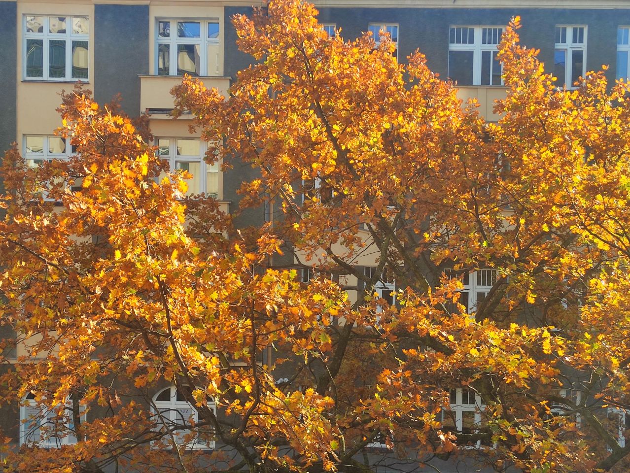 Mieszkanie 3-pokojowe Wrocław Śródmieście, ul. Odona Bujwida. Zdjęcie 5