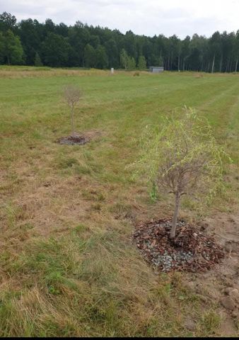 Działka rekreacyjna Osieck Kąciki, Jesennia. Zdjęcie 2