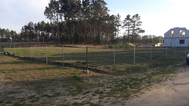 Działka rolno-budowlana Borowy Młyn. Zdjęcie 1