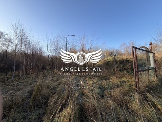 Działka Włodarka Chełm Gryficki. Zdjęcie 3