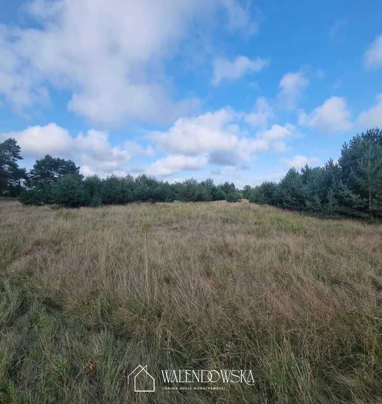 Działka Smołdzino. Zdjęcie 7