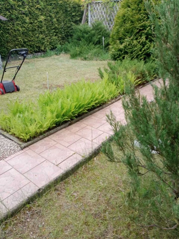 Działka rod Żurczyn. Zdjęcie 4