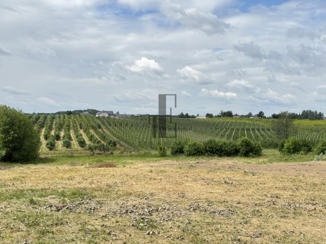 dom wolnostojący, 6 pokoi Worów. Zdjęcie 10