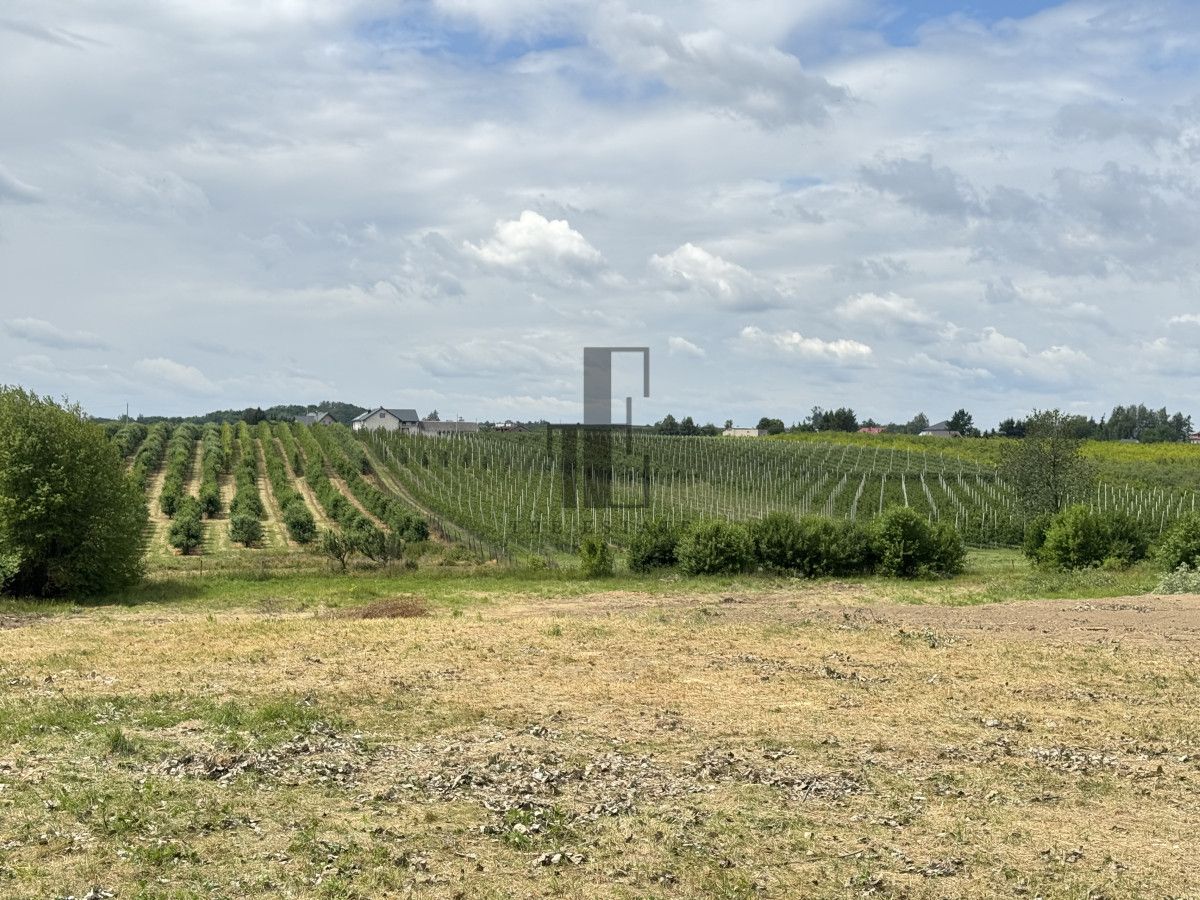 dom wolnostojący, 6 pokoi Worów. Zdjęcie 10