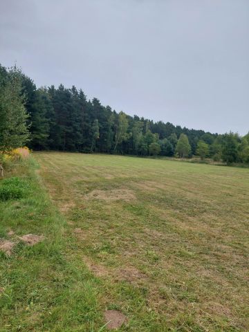 Działka rolna Pławidła. Zdjęcie 1