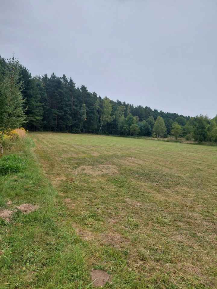 Działka rolna Pławidła