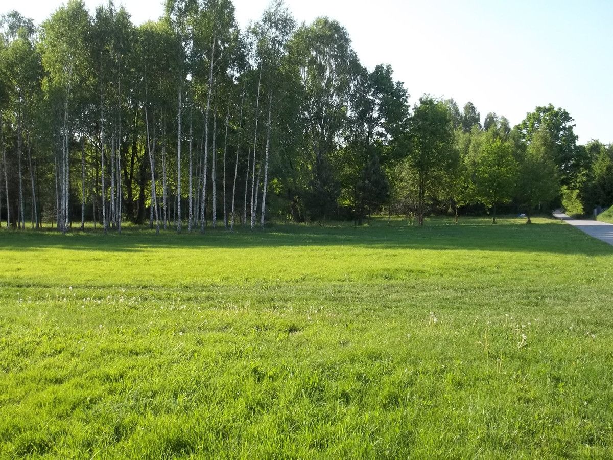 Działka budowlana Budy Grabskie. Zdjęcie 5