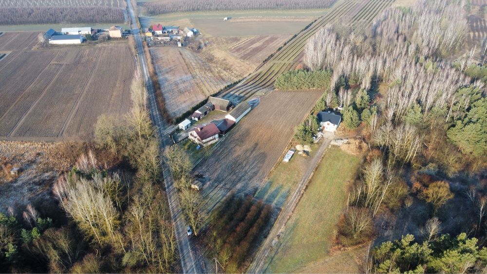 Działka rolno-budowlana Daniszów. Zdjęcie 5