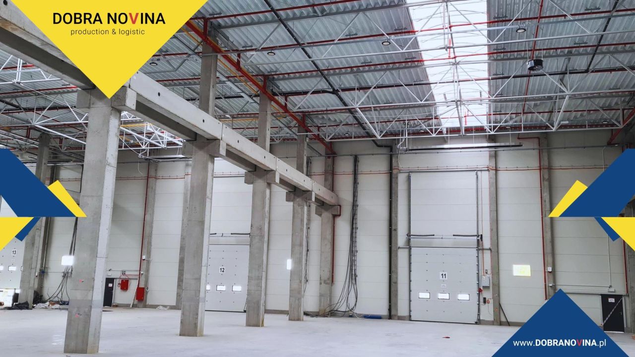 Hala/magazyn Elbląg. Zdjęcie 6