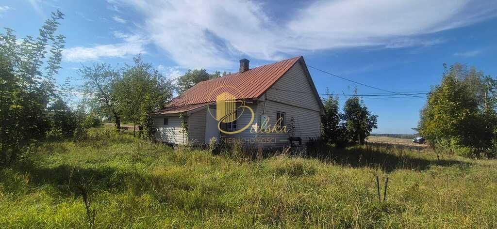 siedlisko, 3 pokoje Bierniki. Zdjęcie 2