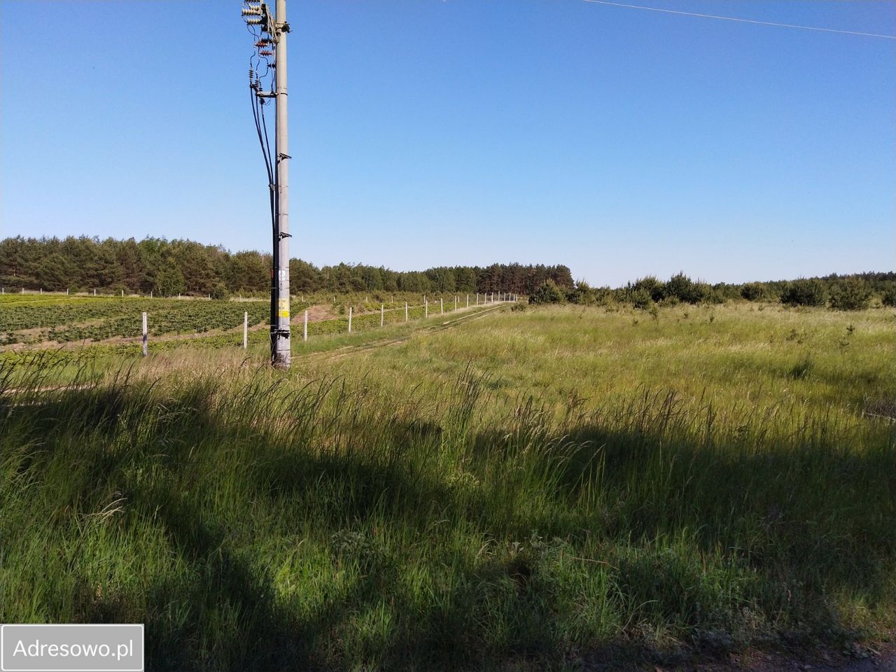 Działka rolno-budowlana Chłopowo. Zdjęcie 12