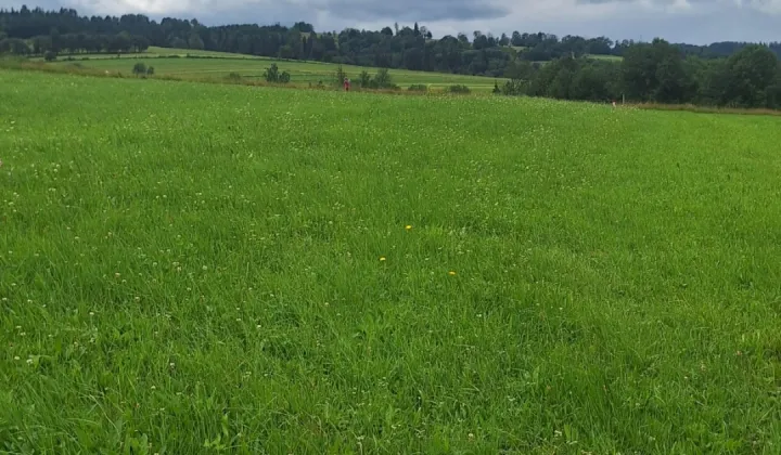 Działka rolna Ciche