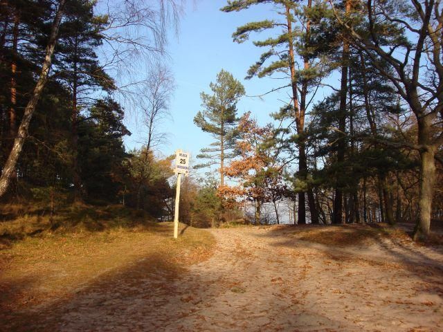 Działka rolna Dębki. Zdjęcie 3