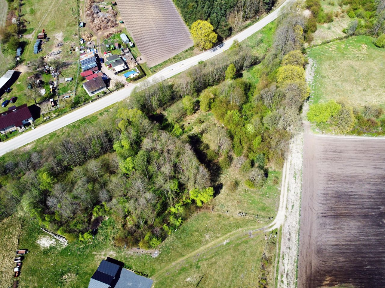 Działka rolna Dargiń. Zdjęcie 10