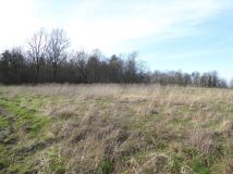 Działka rekreacyjna Koclin. Zdjęcie 3