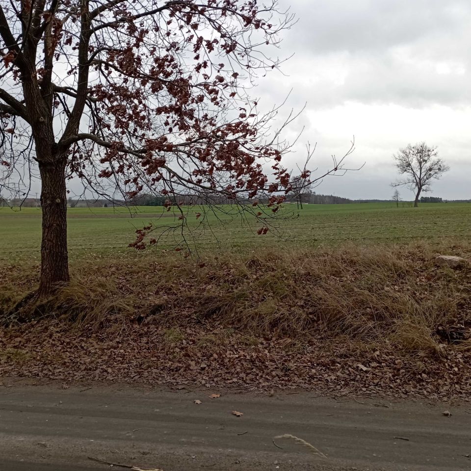 Działka budowlana Wytomyśl, ul. Wypoczynkowa. Zdjęcie 3