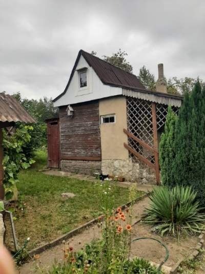 Działka rod Sosnowiec, ul. Jaskółek. Zdjęcie 5