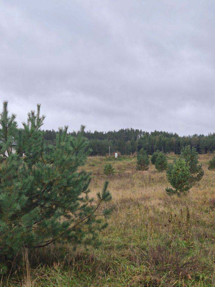 Działka budowlana Mściszewice. Zdjęcie 6