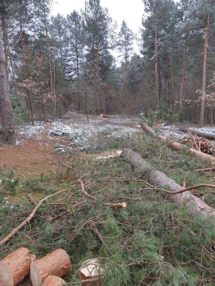 Działka rekreacyjna Nowiny. Zdjęcie 4
