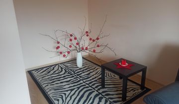 Mieszkanie 1-pokojowe Radom Planty, ul. Młodzianowska