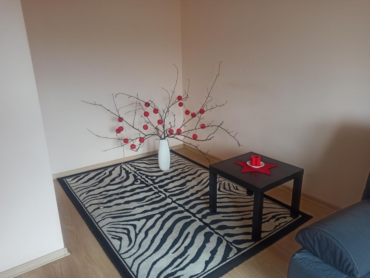 Mieszkanie 1-pokojowe Radom Planty, ul. Młodzianowska