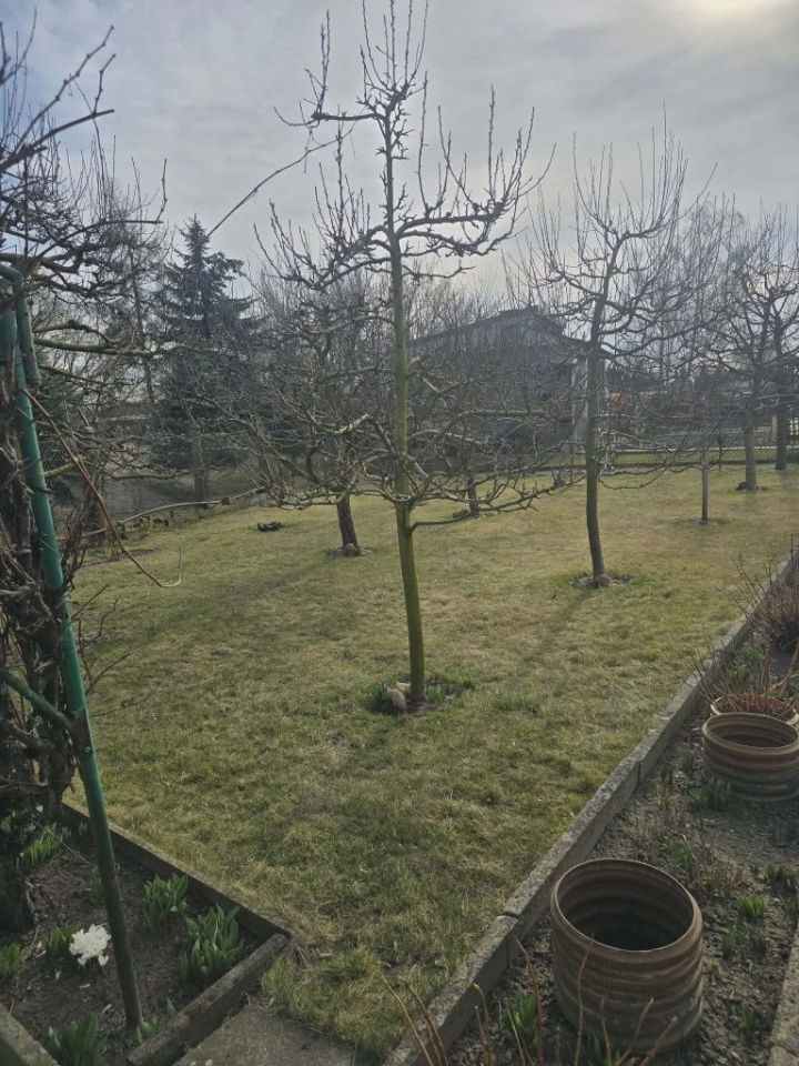 Działka rod Śrem. Zdjęcie 3