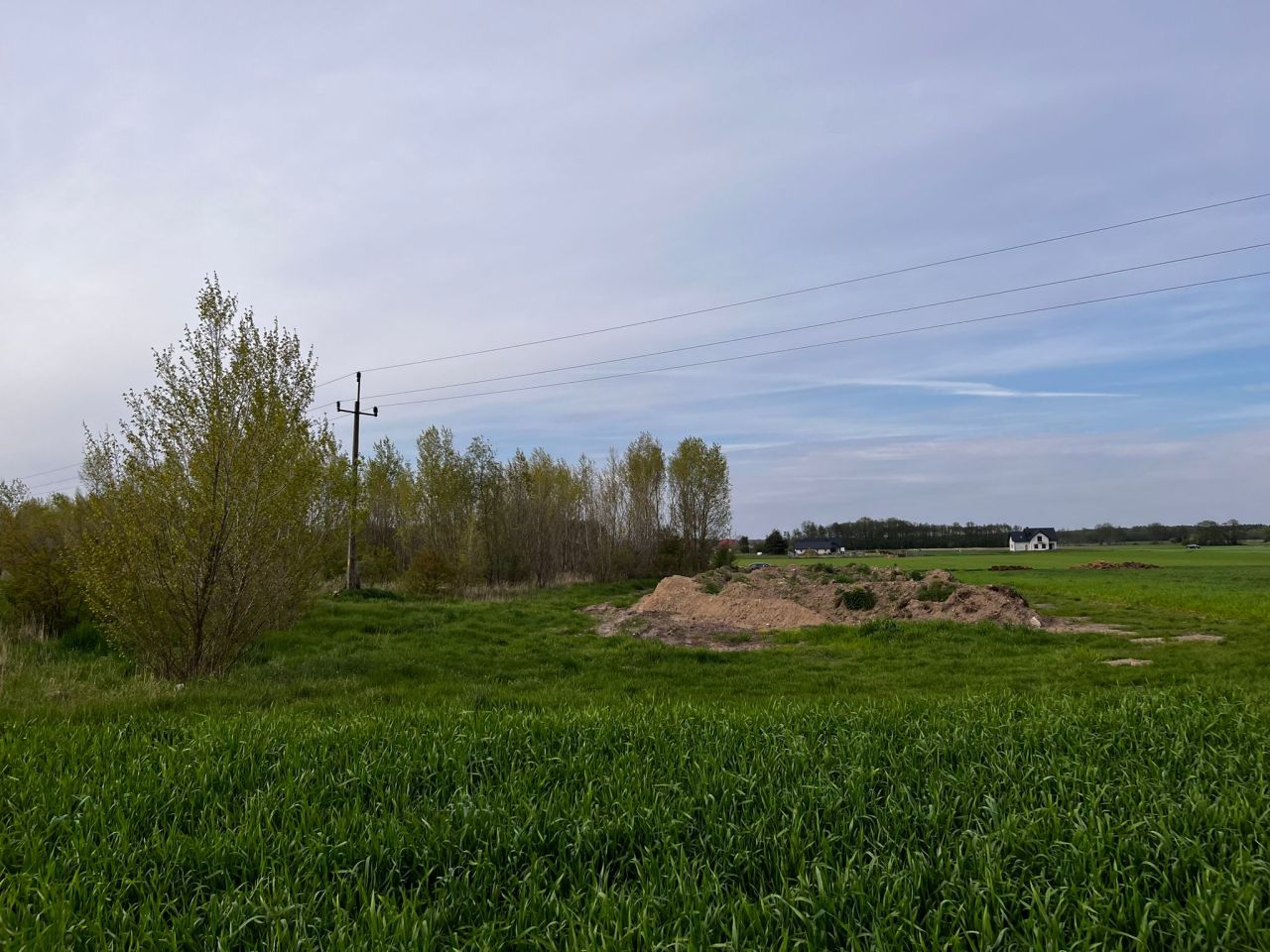 Działka rolna Kolsko, Kolsko. Zdjęcie 7