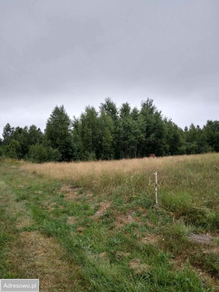 Działka rekreacyjna Nowa Jedlanka. Zdjęcie 4