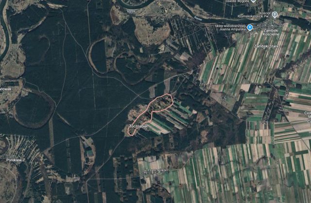 Działka rolna Tocznabiel. Zdjęcie 8