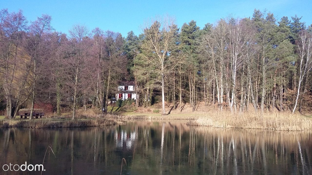 dom wolnostojący, 9 pokoi Przewodowice. Zdjęcie 14