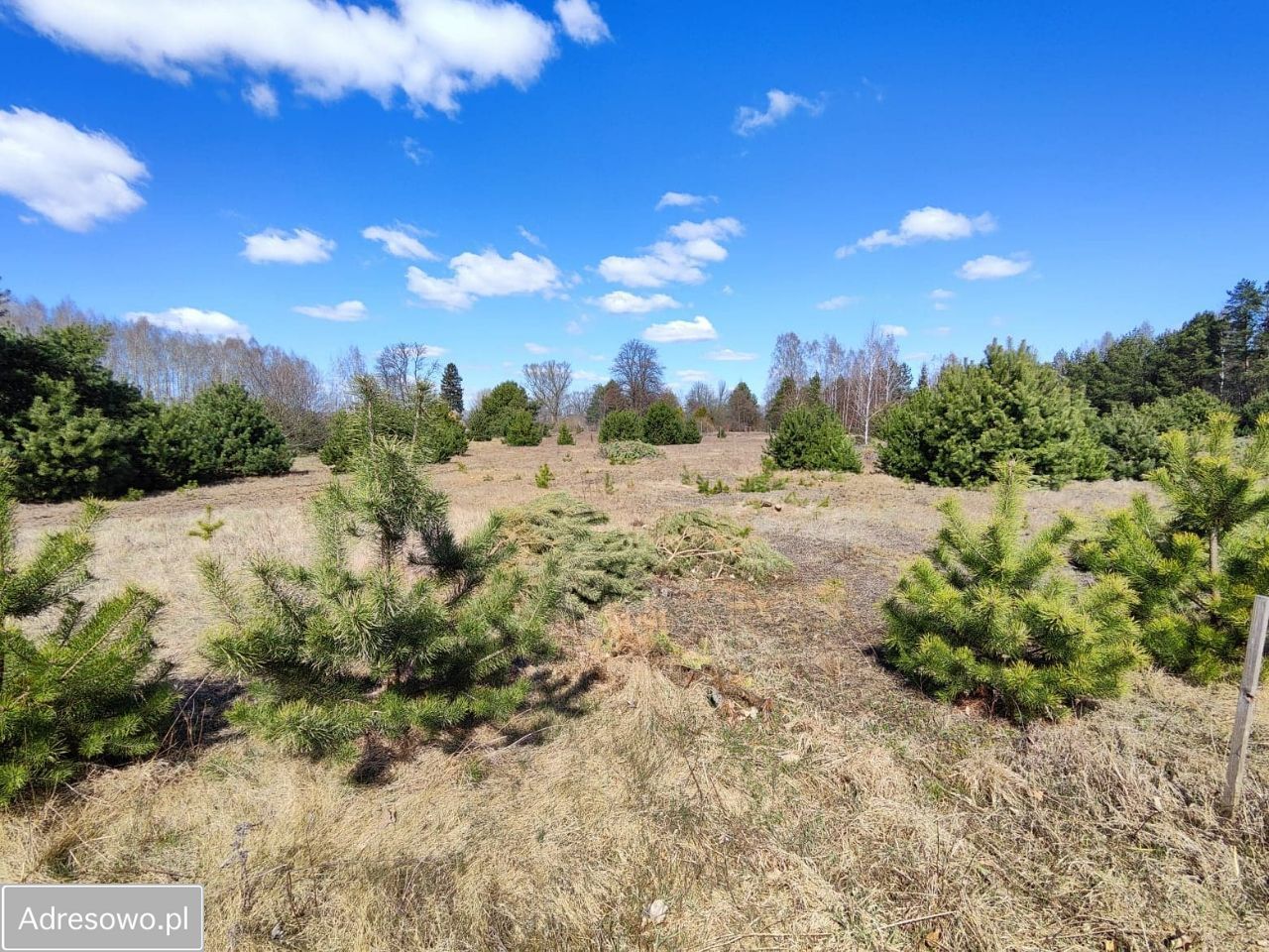 Działka Żeleźnia. Zdjęcie 4