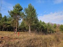 Działka budowlana Dziurów. Zdjęcie 2