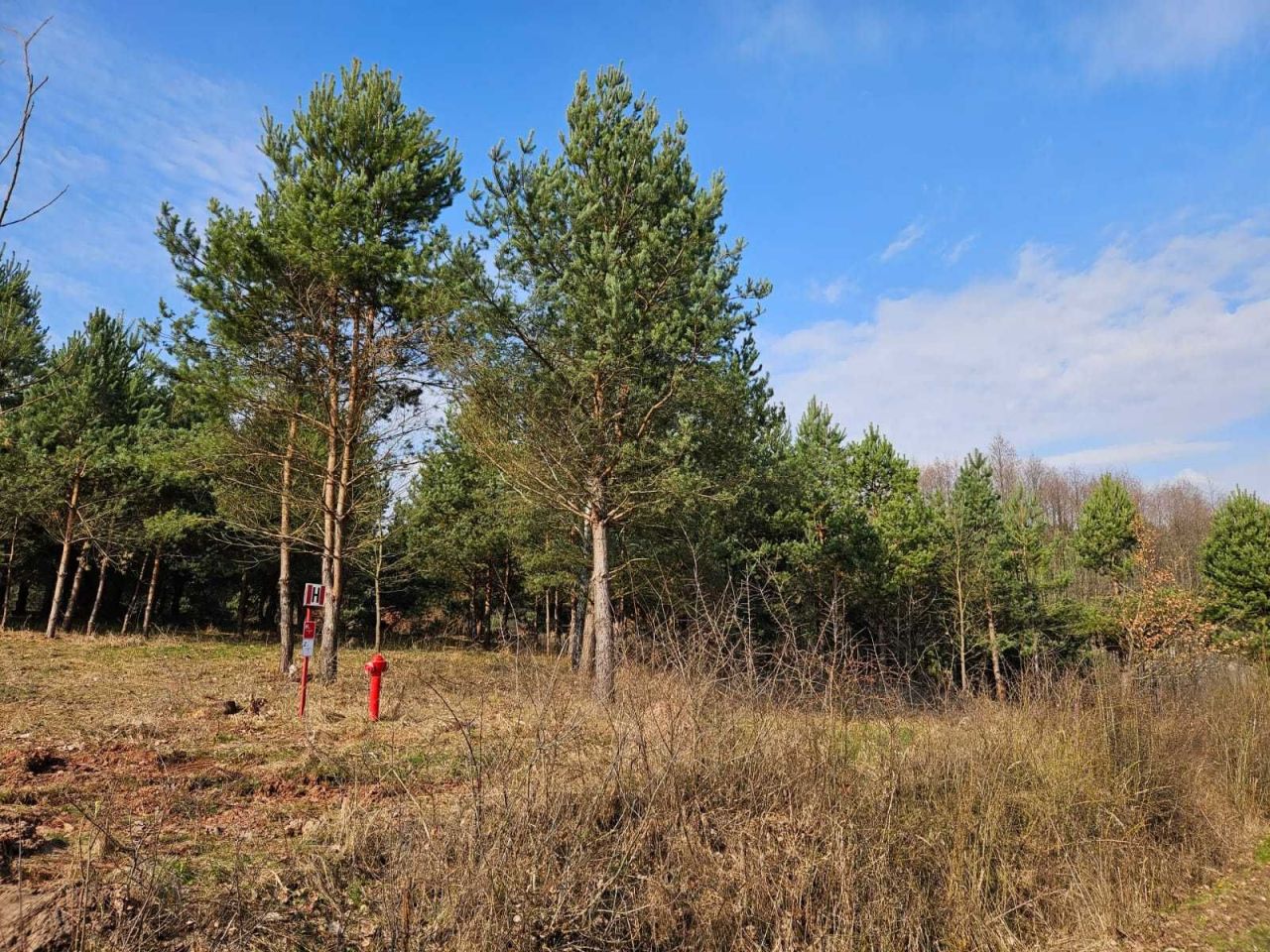 Działka budowlana Dziurów. Zdjęcie 3