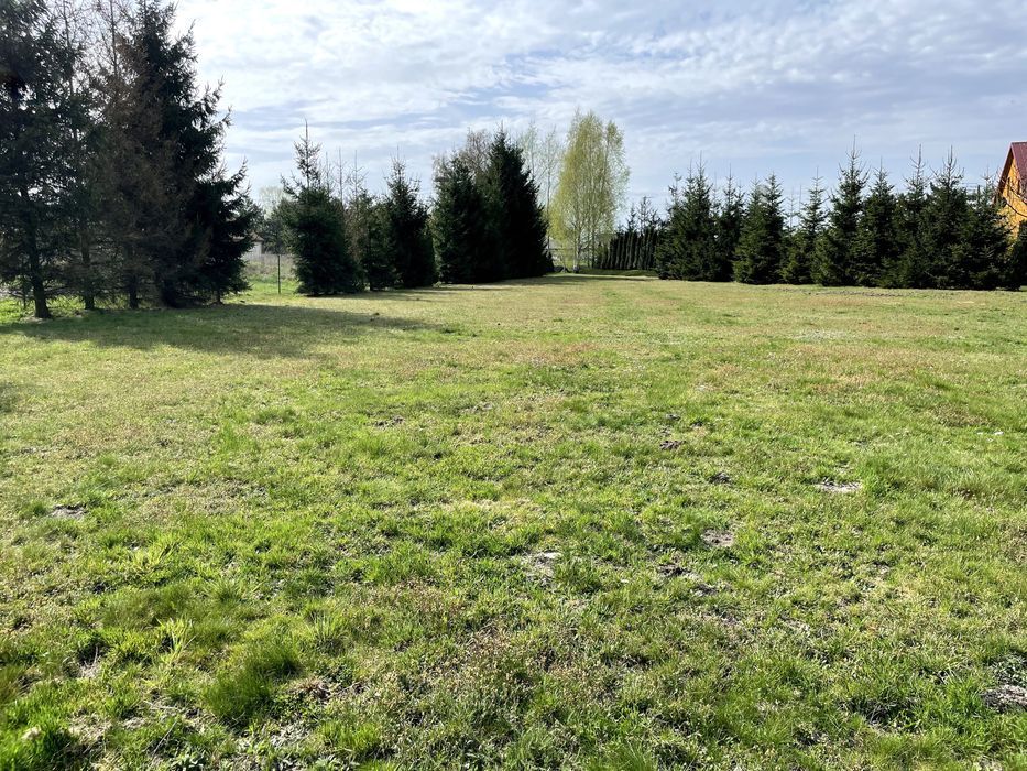 Działka budowlana Dąbie. Zdjęcie 3
