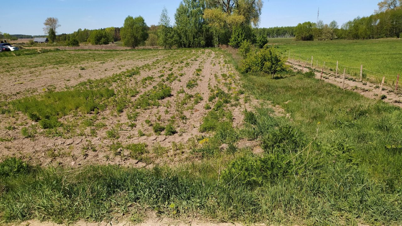 Działka budowlana Uhowo, ul. Widokowa. Zdjęcie 4
