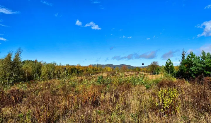 Działka budowlana Dębowina, ul. Widokowa