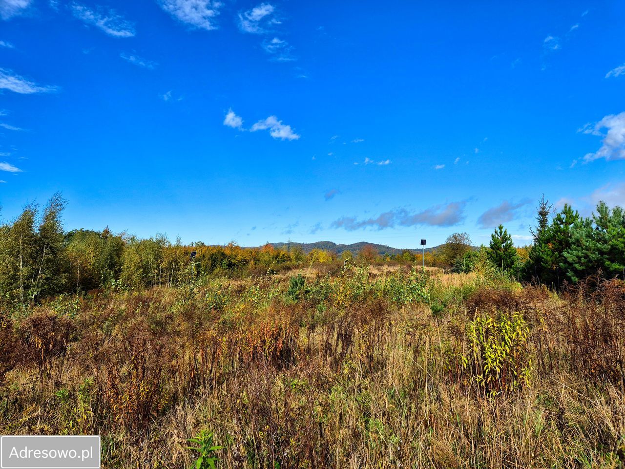 Działka budowlana Dębowina, ul. Widokowa