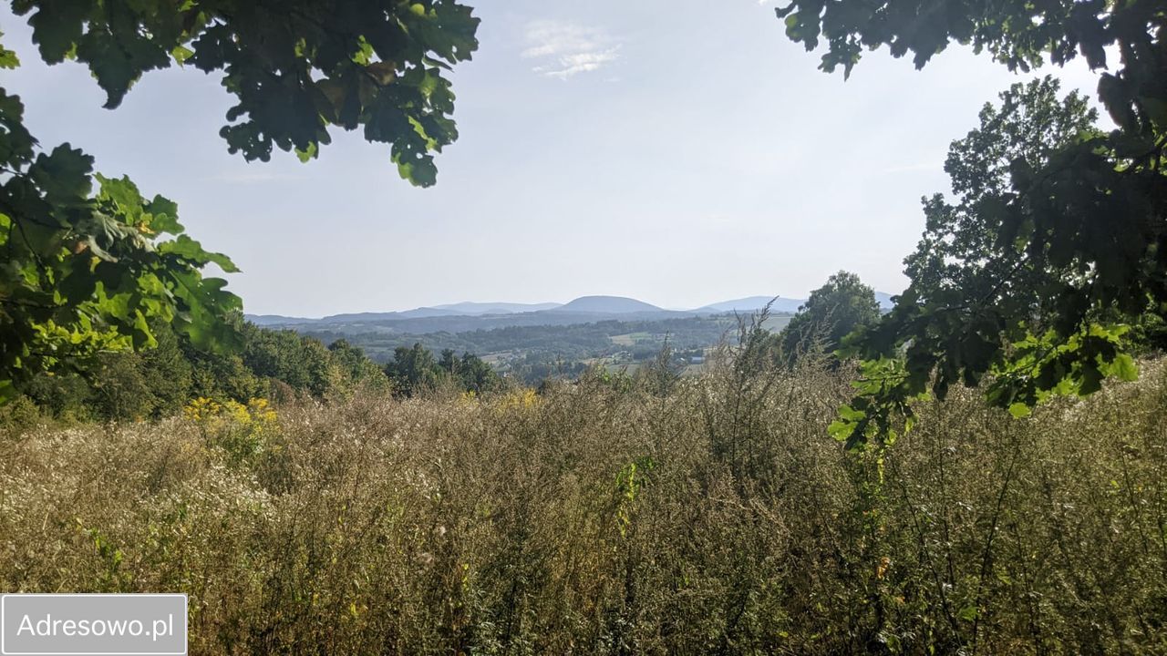 Działka budowlana Trzciana. Zdjęcie 4