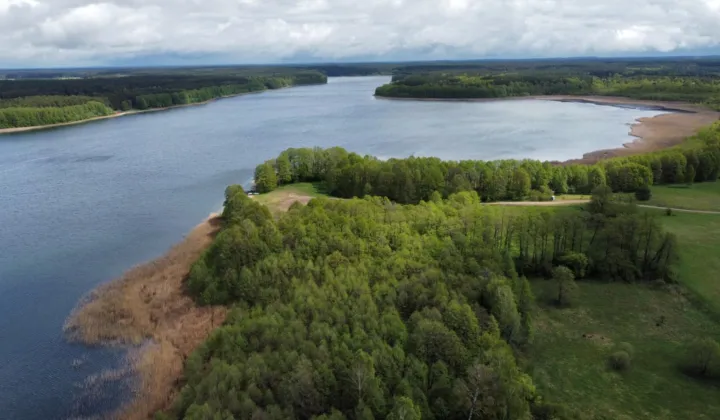 Działka rolna Zgniłocha, Brak