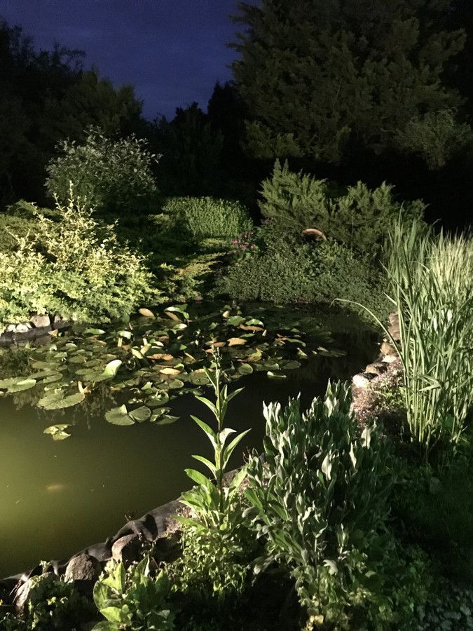 Działka rod Prawda. Zdjęcie 24