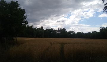 Działka siedliskowa Karczyce, Karczyce