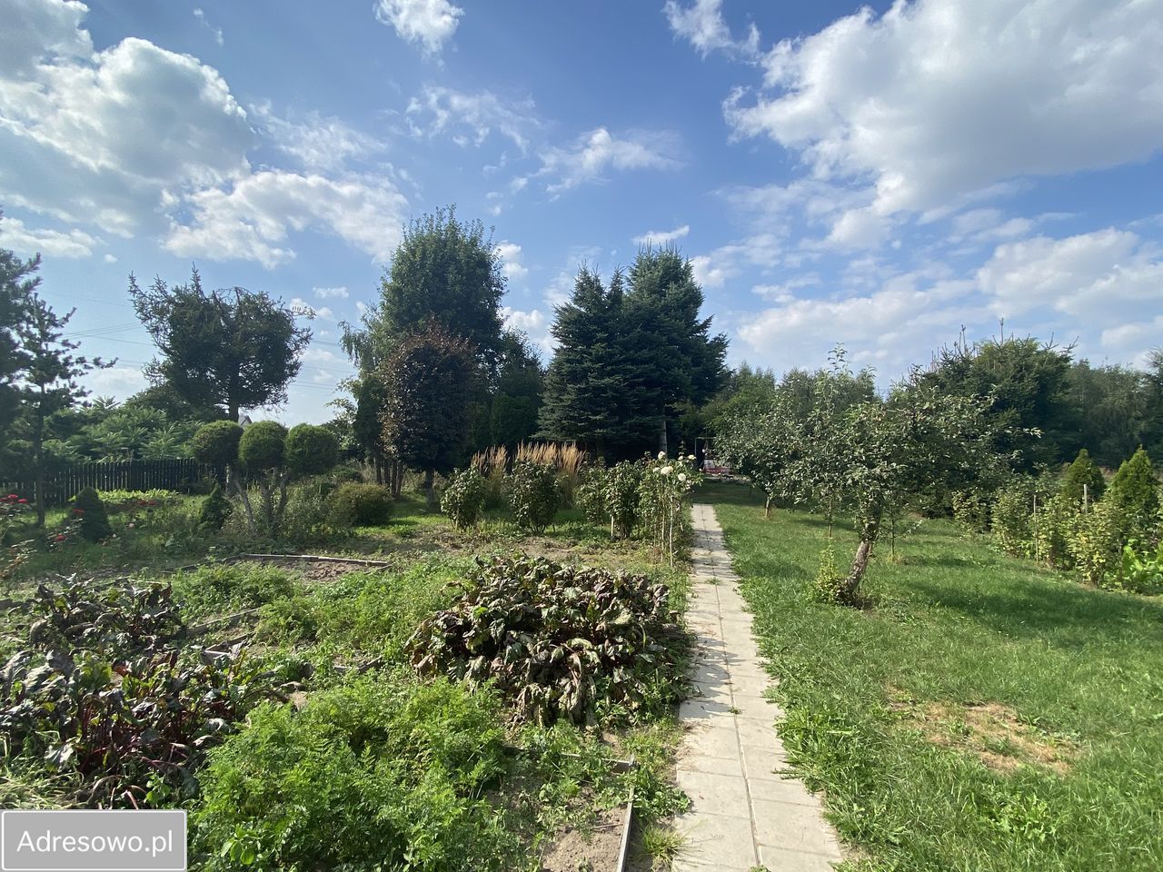 Działka budowlana Stare Kupiski, ul. Pogodna. Zdjęcie 6