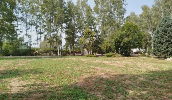 Działka budowlana Ołtarzew, ul. Wspólna